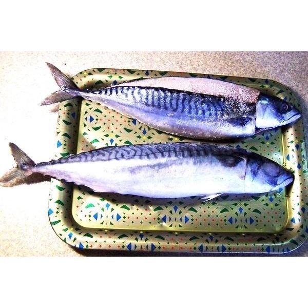 【八通食品】剖鯖魚／專營餐廳、嚴選食材／適用便當用／鯖魚／海鮮／便當／-細節圖2