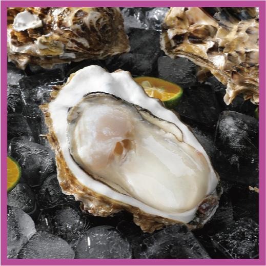 【八通嚴選】日本全殼生蠔.南／專營餐廳、嚴選食材／挑戰最低價／帶殼生蠔／生蠔／海鮮-細節圖2