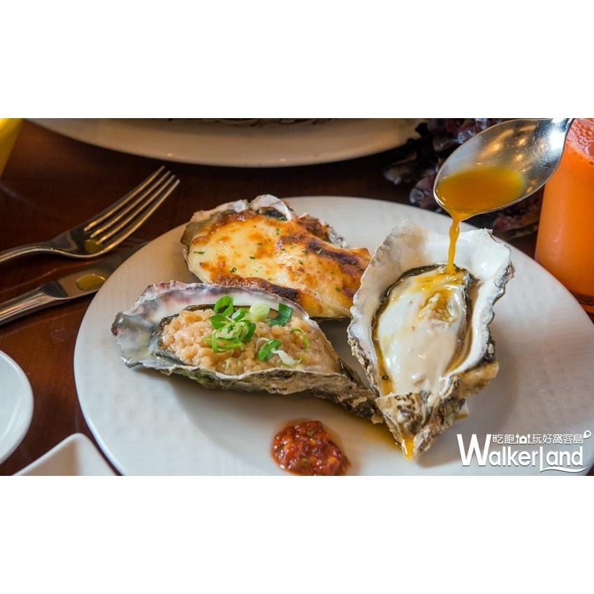 【八通嚴選】日本全殼生蠔.南／專營餐廳、嚴選食材／挑戰最低價／帶殼生蠔／生蠔／海鮮-細節圖3