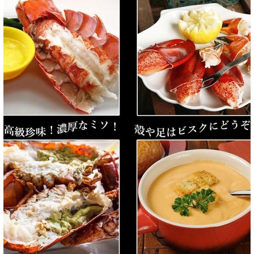 【八通食品】生龍蝦.南／專營餐廳、嚴選食材／挑戰最低價／龍蝦／熟凍／海鮮-細節圖2