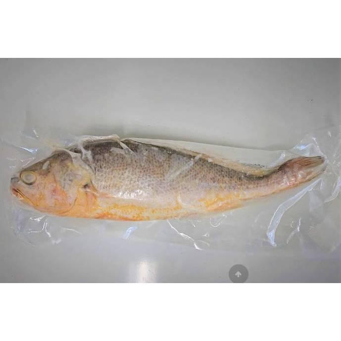 【八通食品】鮮凍三去大黃魚600g~700g.南／專營餐廳、嚴選食材／挑戰最低價／現流現撈鮮魚／黃魚／清蒸／燒烤／海鮮-細節圖2