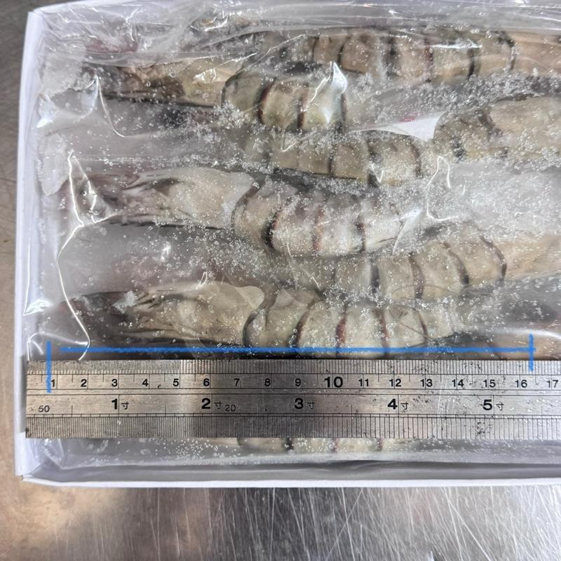 【八通食品】活凍草蝦／專營餐廳、嚴選食材／挑戰最低價／大草蝦／草蝦／海鮮／現炒-細節圖3