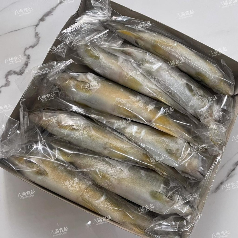 【八通食品】爆卵母香魚7p-細節圖2