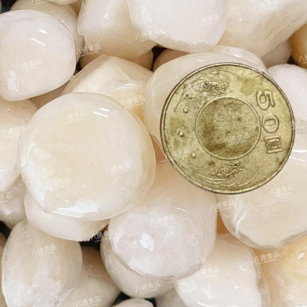 【八通食品】凍煮小貝柱 600g／專營餐廳、嚴選食材／挑戰最低價／小干貝／火鍋／貝柱／海鮮-細節圖2