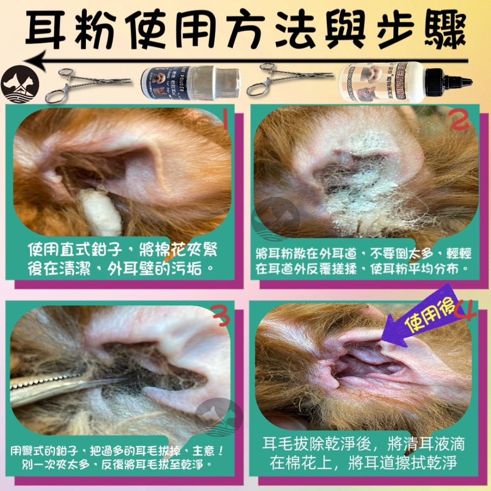 ✪四寶的店✪源杏 專業 超微粒 寵物 輕鬆 耳粉 40g/罐 拔耳毛 保持乾燥 清潔 耳道 犬 狗 寵物美容檢定考試-細節圖3