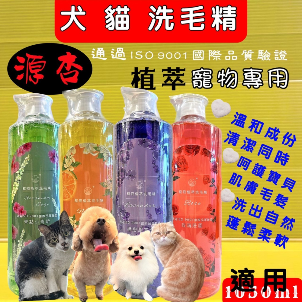 ✪四寶的店✪附發票~源杏《來點小青新 植萃防蚤蝨 1050ml/瓶 》溫和 潔淨 好沖洗 犬 貓 洗毛精 寵物沐浴乳-細節圖3