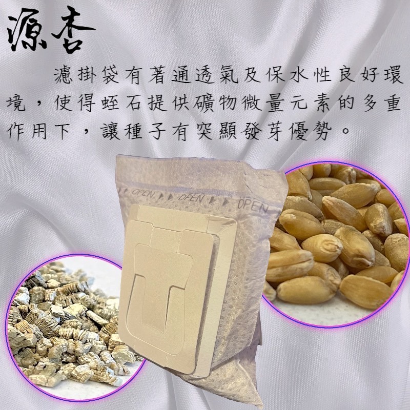 ✪四寶的店✪附發票～源杏 濾掛式 精心挑選優質種子 喵草 DIY 烏龜 兔草 愛貓嚴選 交換禮物 濾掛喵草 小鳥-細節圖3