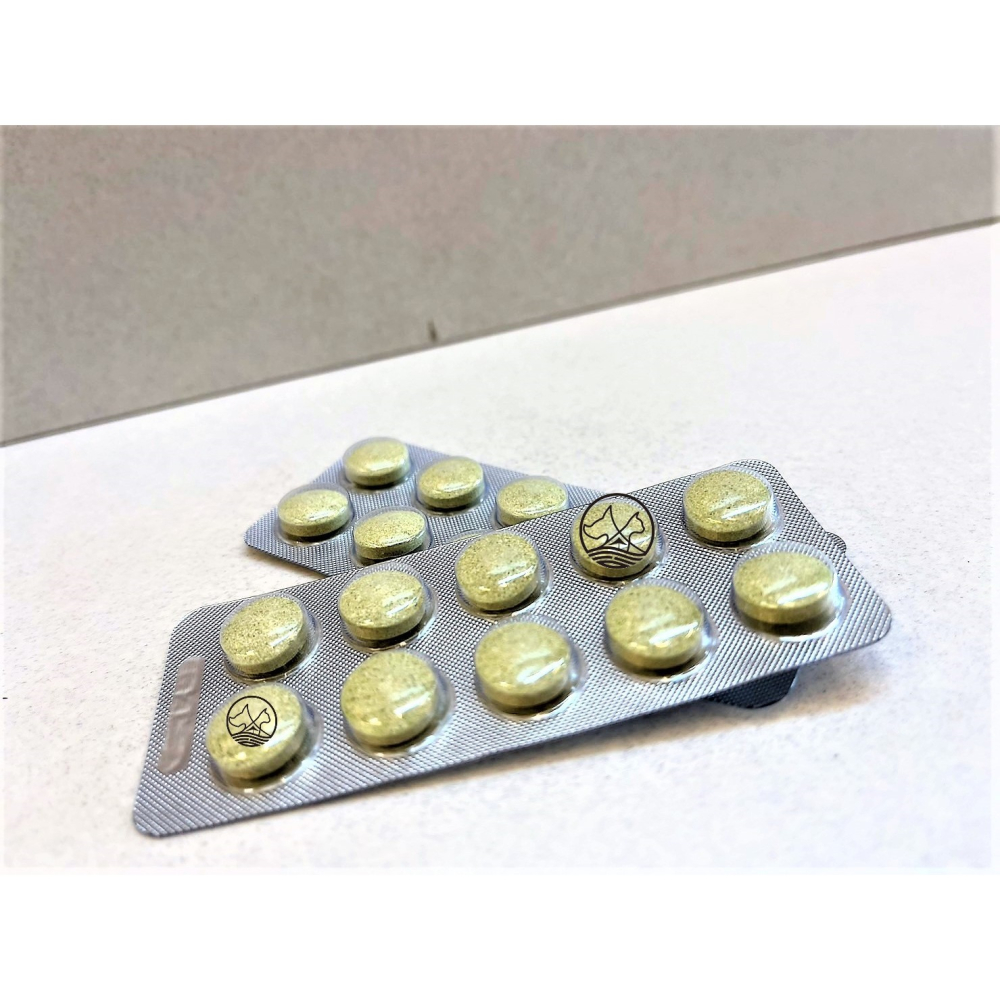 ✪四寶的店✪Petty Man 奇異果免疫提升錠 20錠/罐 健康補給 小動物 鼠 化毛 蜜袋鼯 兔 木瓜鳳梨酵素丸-細節圖2