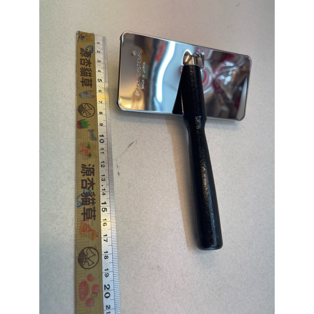 ✪四寶的店n✪附發票~現貨 美國 頂尖 L號【防靜電不銹鋼針梳】專業寵物系列 針梳(大) 高級品 木柄梳 耐用 犬 貓-細節圖3