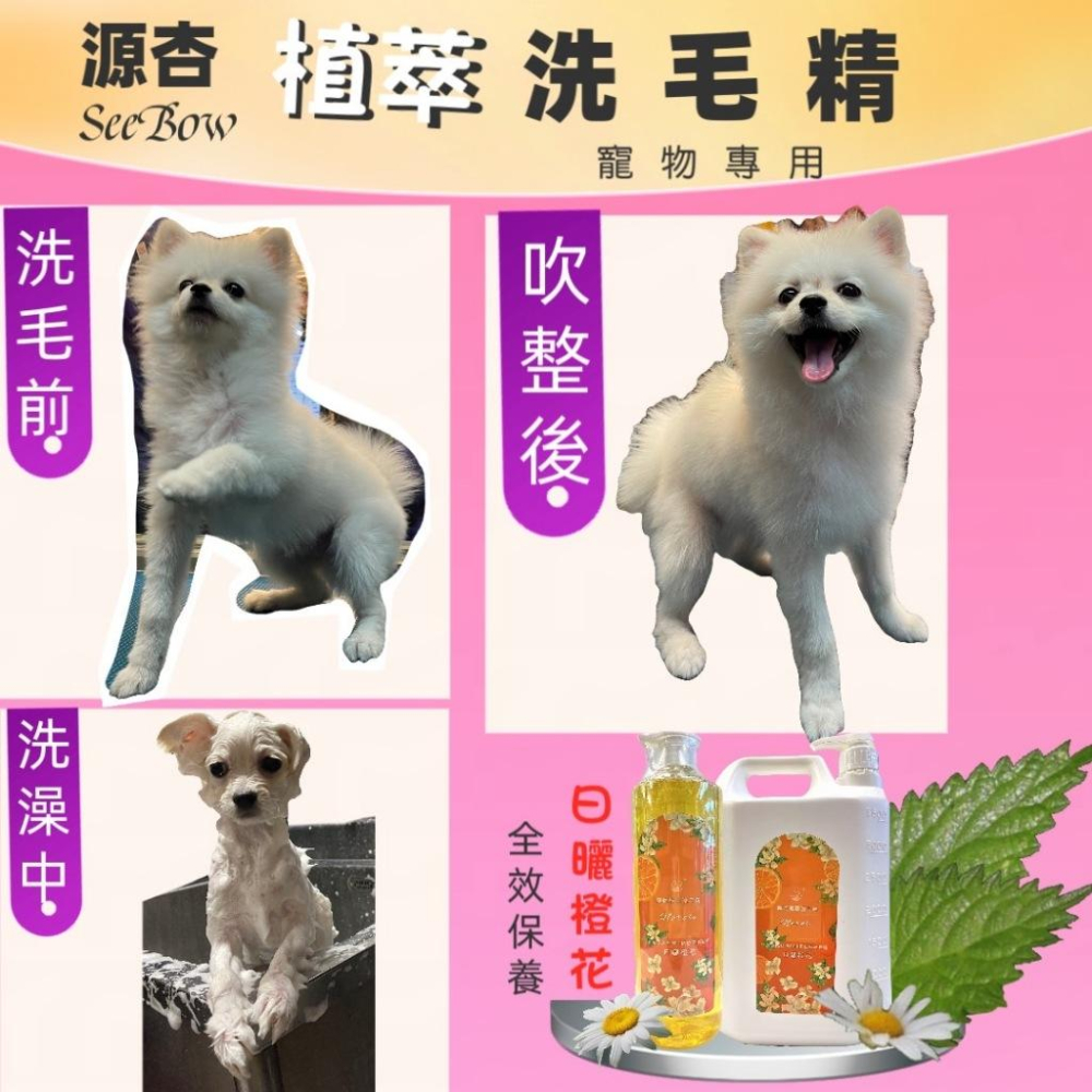 👍四寶的店👍附發票~超大容量《源杏 植萃  防蚤蝨 1050ml/瓶 附壓頭》好沖洗 犬 貓 洗毛精-細節圖3