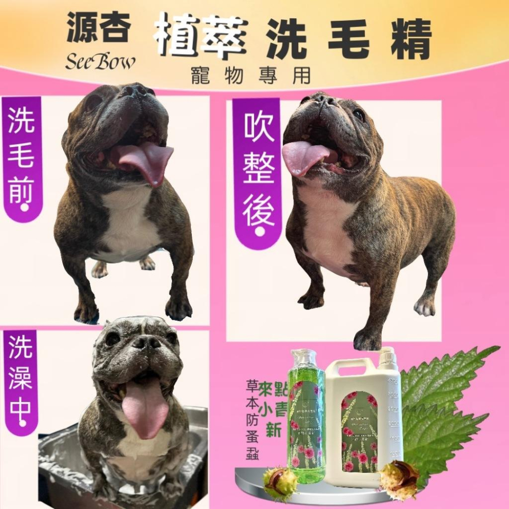 👍四寶的店👍附發票~超大容量《源杏 植萃 全效 1050ml/瓶 附壓頭》好沖洗 犬 貓 專業洗毛精-細節圖2