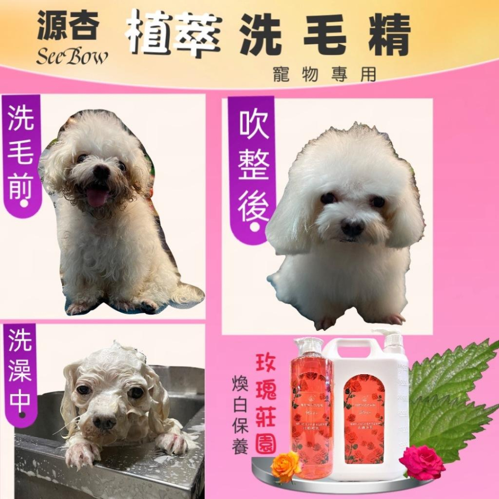 👍四寶的店👍附發票~超大容量《源杏 植萃 全效 1050ml/瓶 附壓頭》好沖洗 犬 貓 專業洗毛精-細節圖4