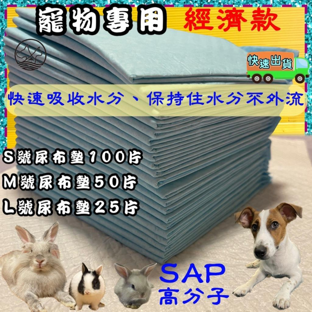 👍四寶的店👍超商2包可取貨~尿布墊 無香款 除臭 品質再升級 吸水力強(S號30cm*45cm)100片裝/包 犬狗 貓-細節圖2