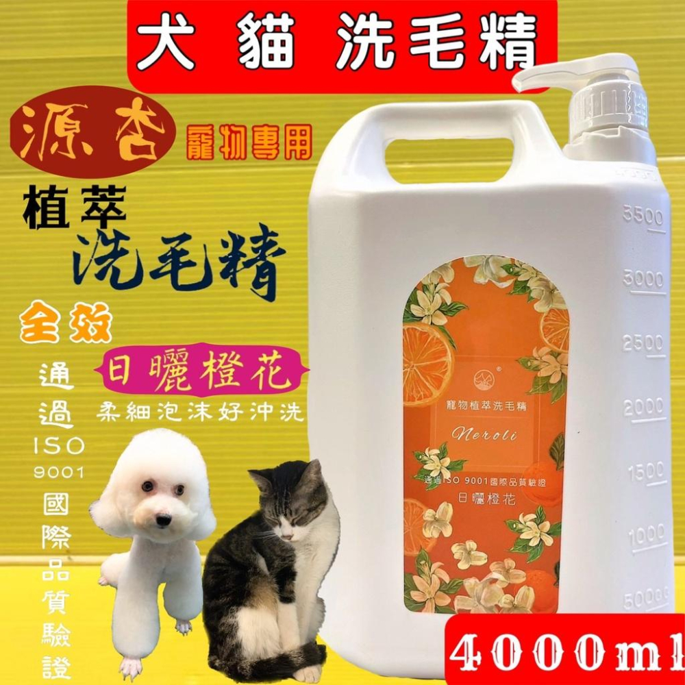 👍四寶的店👍源杏 寵物專用 植萃洗毛精 超大容量 全效系列《犬貓專用 防蚤蝨 煥白 煥膚 全效》4000ml/瓶-細節圖2