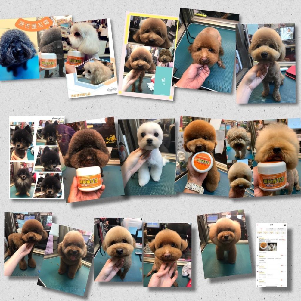 👍四寶的店👍源杏精粹護毛霜 蓬鬆型 1000ml/罐 寵物專用 護毛乳 清香 保養 柔順 好梳理 毛髮 寵物美容 犬 狗-細節圖3