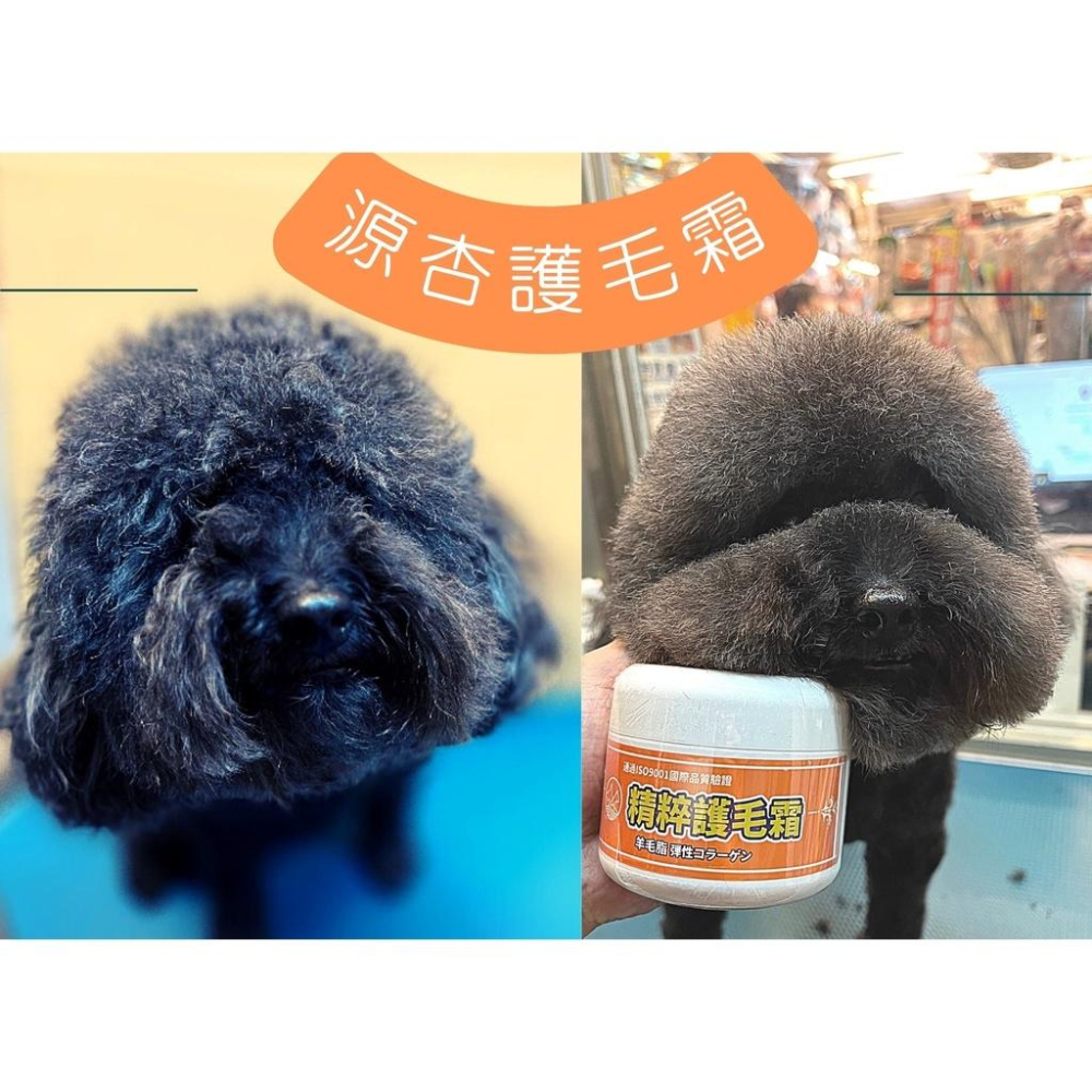 👍四寶的店👍源杏精粹護毛霜 蓬鬆型 1000ml/罐 寵物專用 護毛乳 清香 保養 柔順 好梳理 毛髮 寵物美容 犬 狗-細節圖4