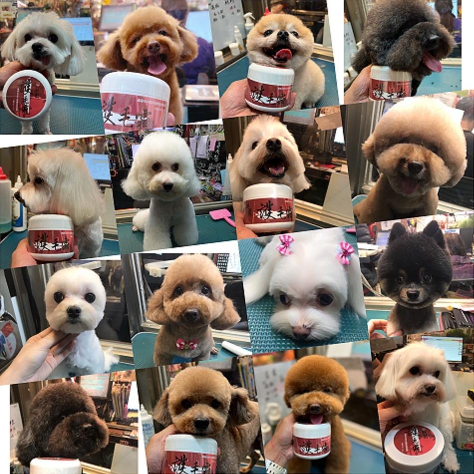 👍四寶的店👍源杏 輕鬆 蓬鬆型 護毛霜 1000克/瓶 預防寵物毛髮打結.斷裂,洗後更加柔軟 犬 貓 玻尿酸護毛霜-細節圖3