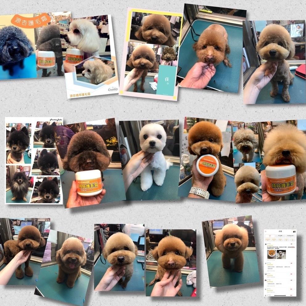 👍四寶的店👍源杏精粹護毛霜蓬鬆200ml/罐 寵物專用 護毛乳 清香 保養 柔順 好梳理 毛髮 寵物美容師室強力推薦速乾-細節圖3