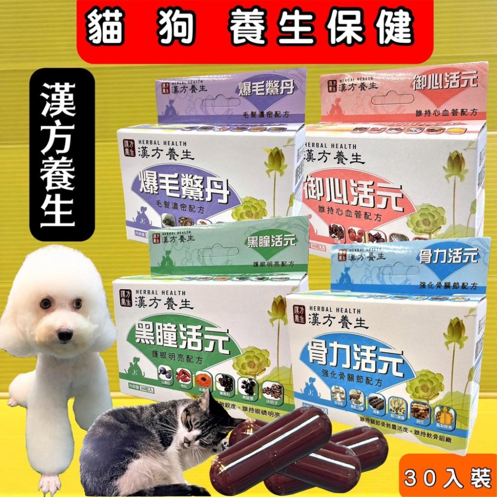 ✪四寶的店✪附發票~漢方養生 黑瞳活元 30粒/盒 犬 貓 適用 台灣製 眼睛 葉黃素 營養補充-細節圖3