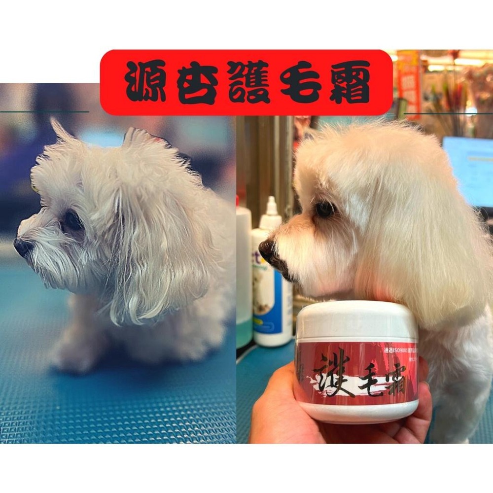 👍四寶的店👍源杏 輕鬆 護毛霜 200克/瓶 預防寵物毛髮打結.斷裂,洗後更加柔軟~附發票 玻尿酸護毛霜 蓬鬆型-細節圖4