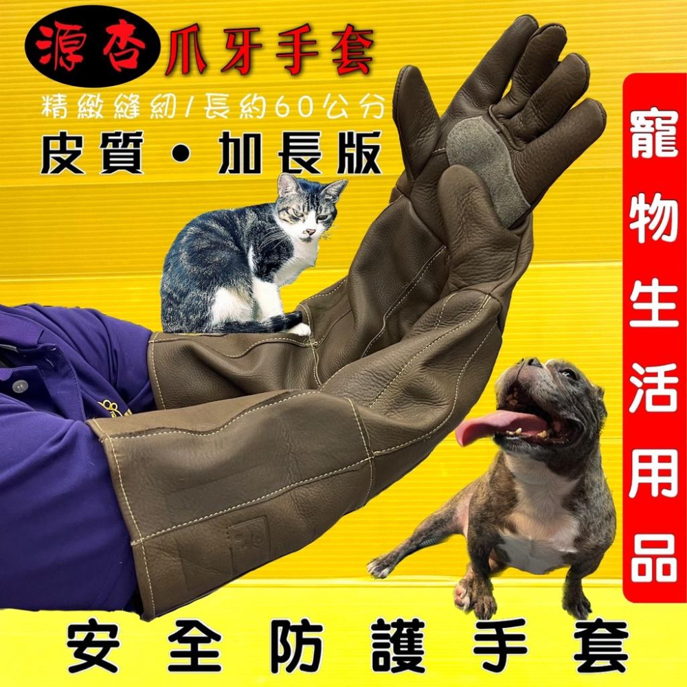 👍四寶的店👍源杏爪牙手套 大號 60cm 防咬  掌心二層皮質 寵物 防抓咬 防護 貓抓 狗咬 皮質加厚 鸚鵡 刺蝟 榴-細節圖2