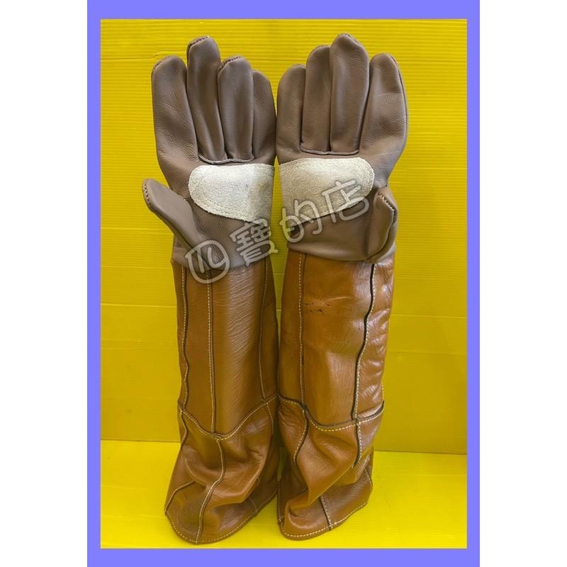 👍四寶的店👍源杏爪牙手套 大號 60cm 防咬  掌心二層皮質 寵物 防抓咬 防護 貓抓 狗咬 皮質加厚 鸚鵡 刺蝟 榴-細節圖4