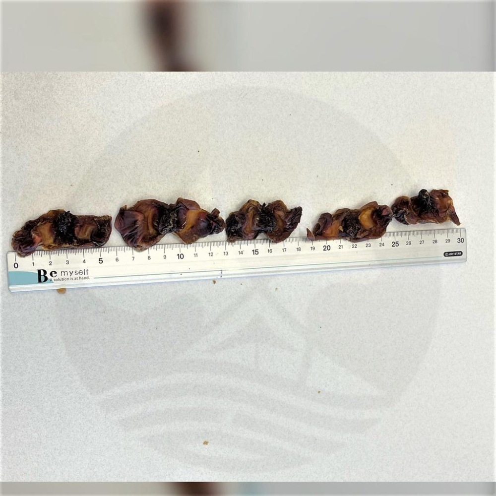 👍四寶的店👍隨手包 手作系列零食 系列 PARMIR 帕米爾 犬用 零食 狗 點心 攜帶方便 台灣製造 訓練~附發票-細節圖3