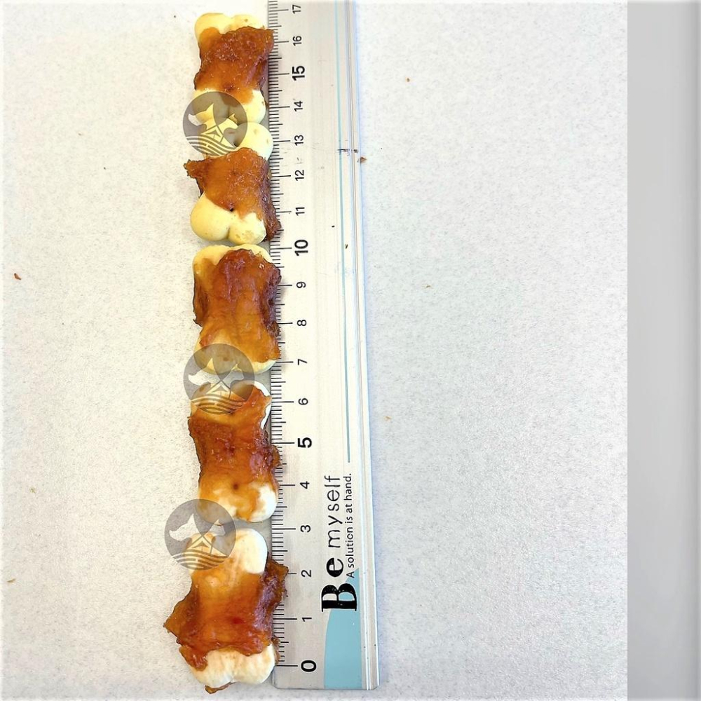 👍四寶的店👍隨手包 手作系列零食 系列 PARMIR 帕米爾 犬用 零食 狗 點心 攜帶方便 台灣製造 訓練~附發票-細節圖6