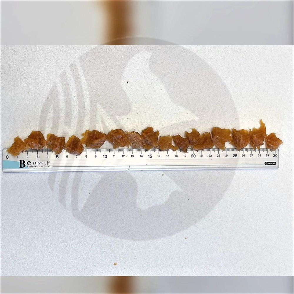 👍四寶的店👍隨手包【雞米花 20g/包】帕米爾 犬用 零食 狗 點心 手作系列零食 PARMIR 攜帶方便~附發票-細節圖2