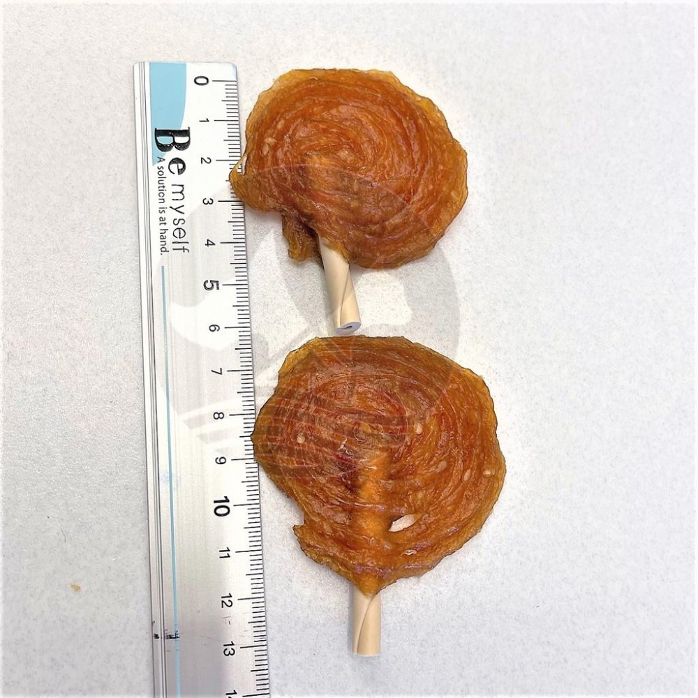 隨手包【牛奶 雞肉小棒棒糖2入/包】手作系列 PARMIR 帕米爾 犬用 零食 狗 點心 攜帶方便~附發票⚜️四寶的店-細節圖2