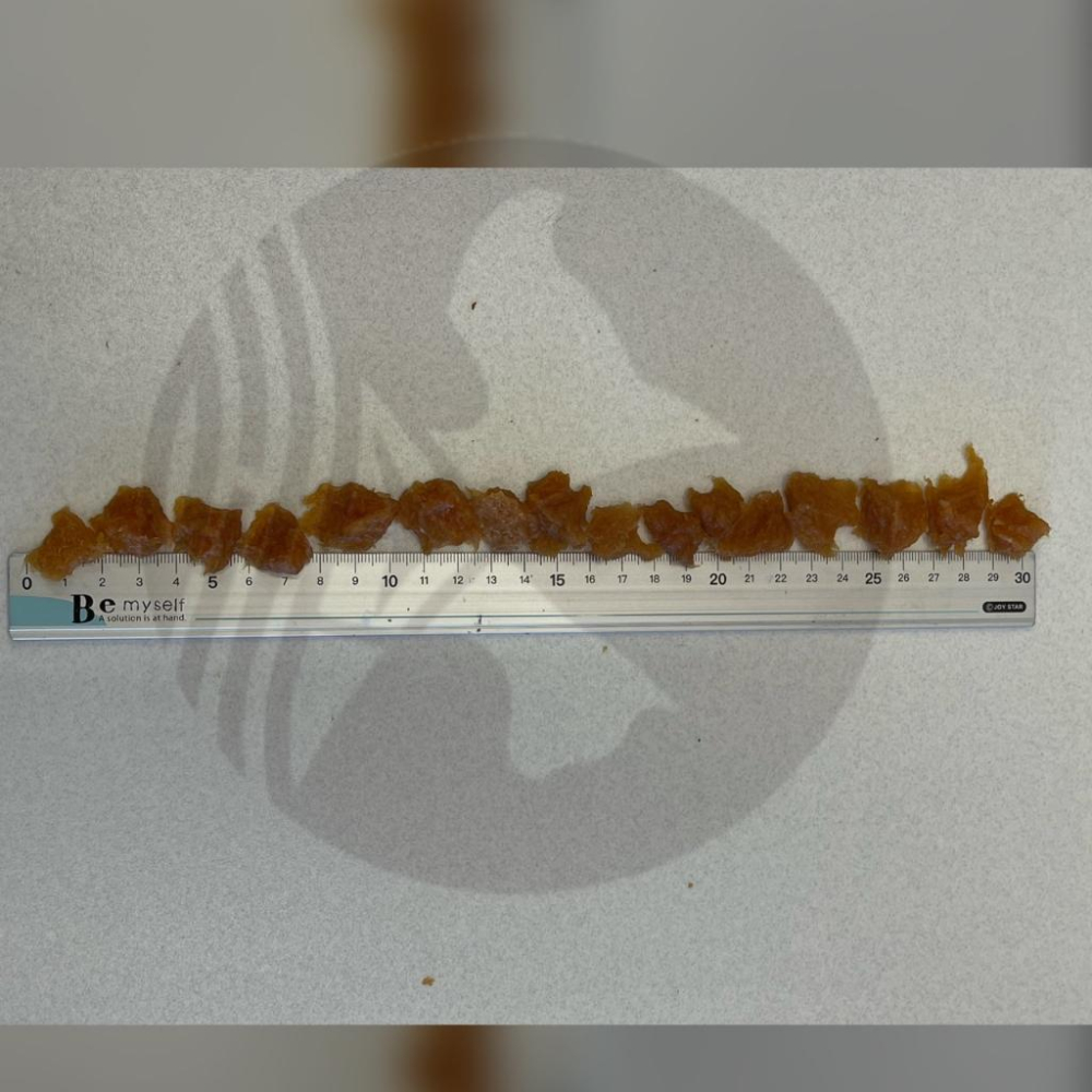 隨手包【牛奶 雞肉小棒棒糖2入/包】手作系列 PARMIR 帕米爾 犬用 零食 狗 點心 攜帶方便~附發票⚜️四寶的店-細節圖4