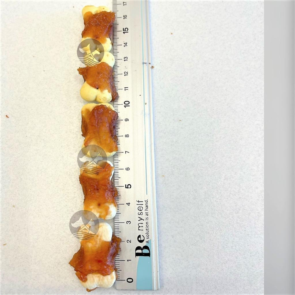 隨手包【牛奶 雞肉小棒棒糖2入/包】手作系列 PARMIR 帕米爾 犬用 零食 狗 點心 攜帶方便~附發票⚜️四寶的店-細節圖8