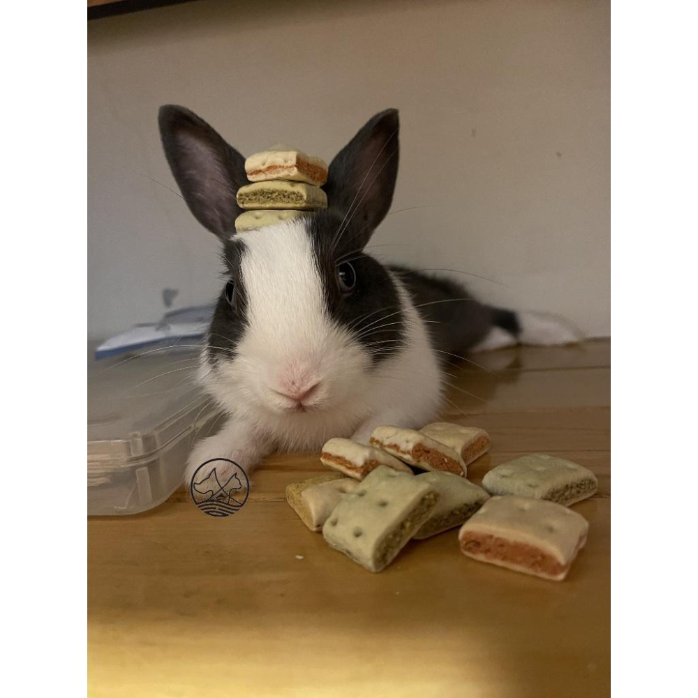 魔法村 ➤玉米甜甜圈 120G➤小動物點心零食 兔子 天竺鼠 倉鼠 全鼠 PetVillage 磨齒棒 磨牙餅💛四寶-細節圖3