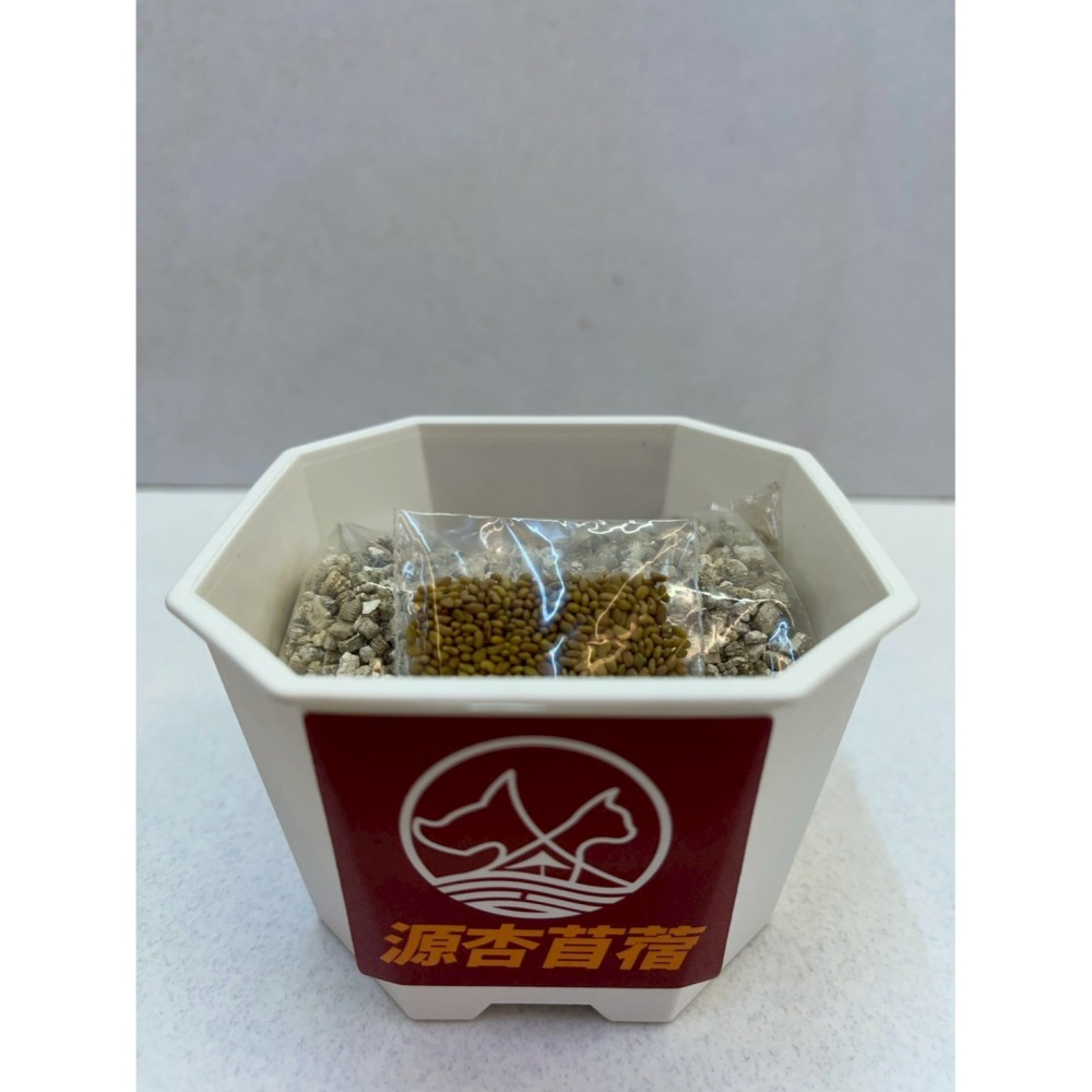 ✪四寶的店✪源杏 輕鬆玩苜蓿 一盆 栽培盒 精心挑選優質種子 貓草 DIY 辦公室桌面 生態果蔬植物種子 犬 狗 貓草-細節圖2