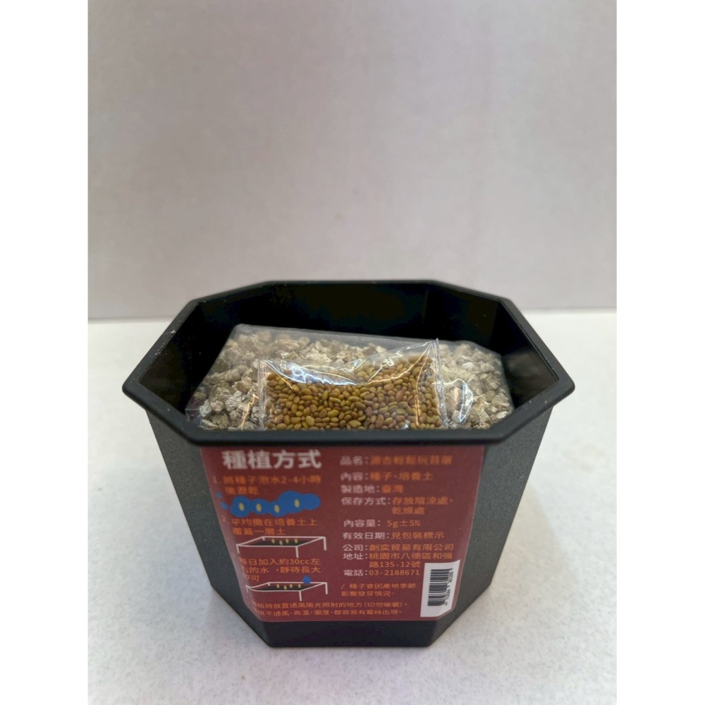 ✪四寶的店✪源杏 輕鬆玩苜蓿 一盆 栽培盒 精心挑選優質種子 貓草 DIY 辦公室桌面 生態果蔬植物種子 犬 狗 貓草-細節圖3