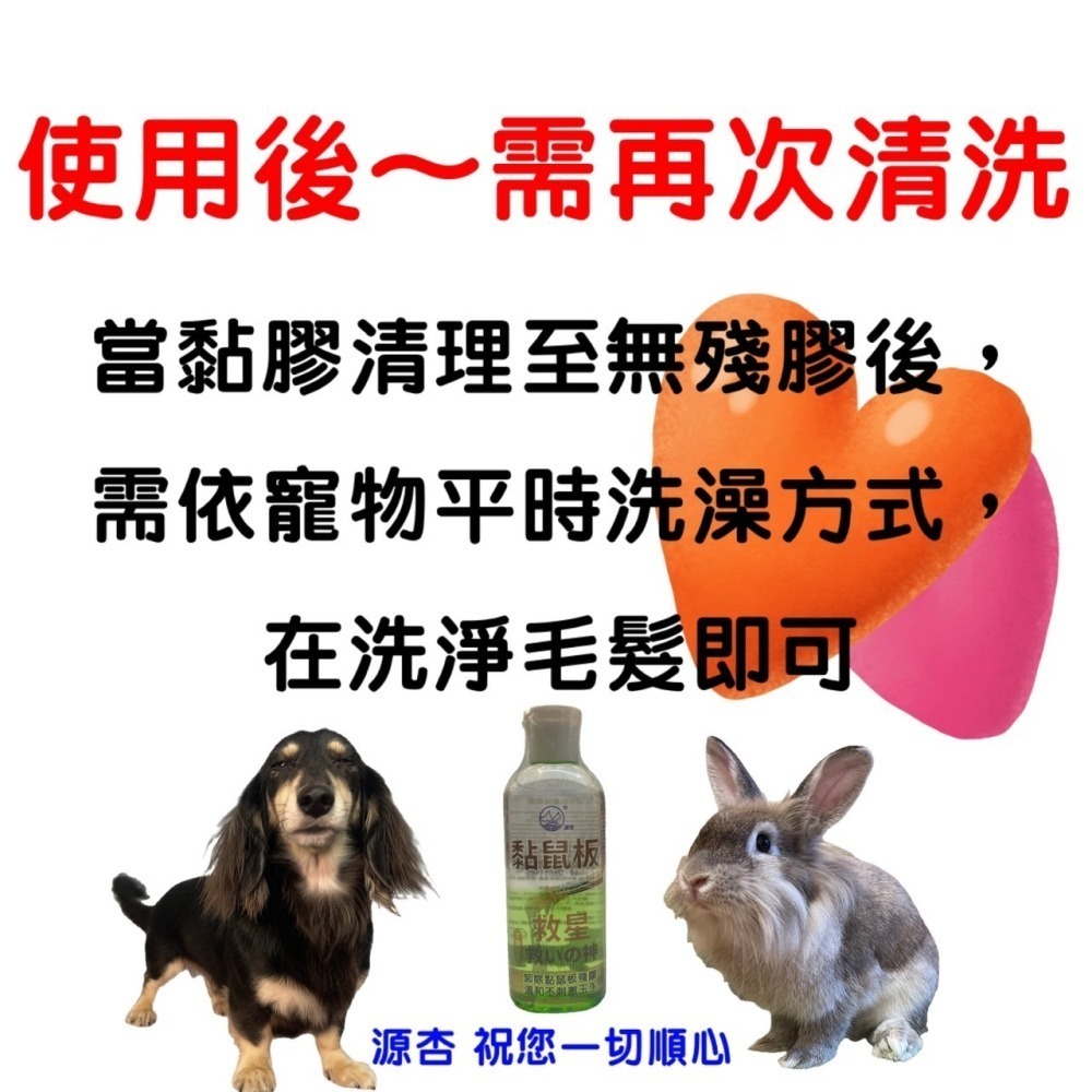 【限時購】源杏 黏鼠板救星 100ml/瓶 寵物專用 多功能老鼠膠解膠液100ml/瓶 毛髮上的重油污清潔液 狗 貓-細節圖7