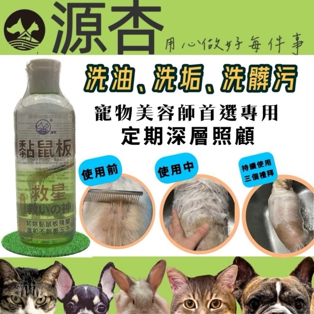 【限時購】獨家 寵物毛髮沾黏-黏鼠板的膠清洗劑 黏鼠板救星 100ml/瓶 犬 狗 貓 小動物 源杏 寵物 老鼠膠-細節圖2