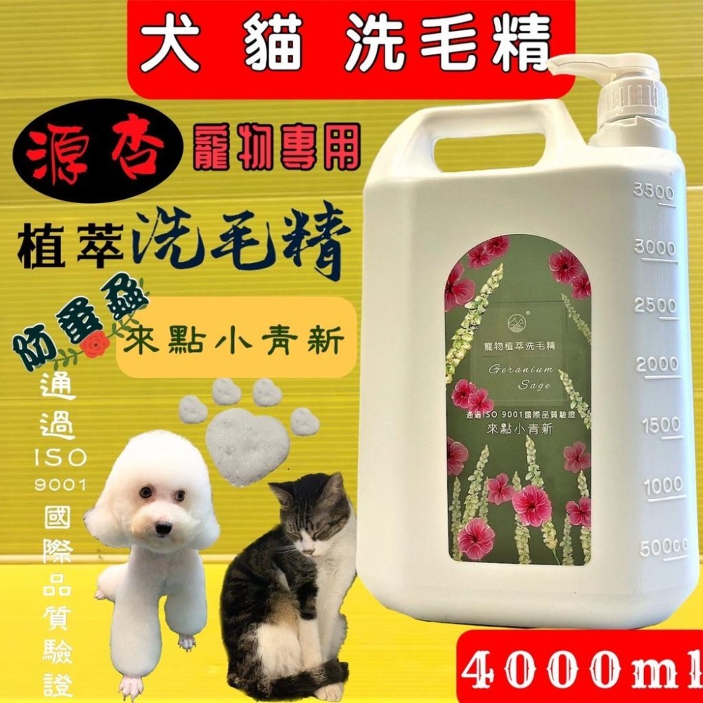 大容量 源杏 寵物專用 植萃洗毛精 來點小青新 4000ml/瓶《 防蚤蝨系列》犬 貓 狗 專用 沐浴露-細節圖2
