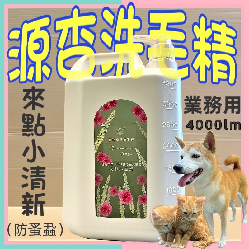 大容量 源杏 寵物專用 植萃洗毛精 來點小青新 4000ml/瓶《 防蚤蝨系列》犬 貓 狗 專用 沐浴露-細節圖2