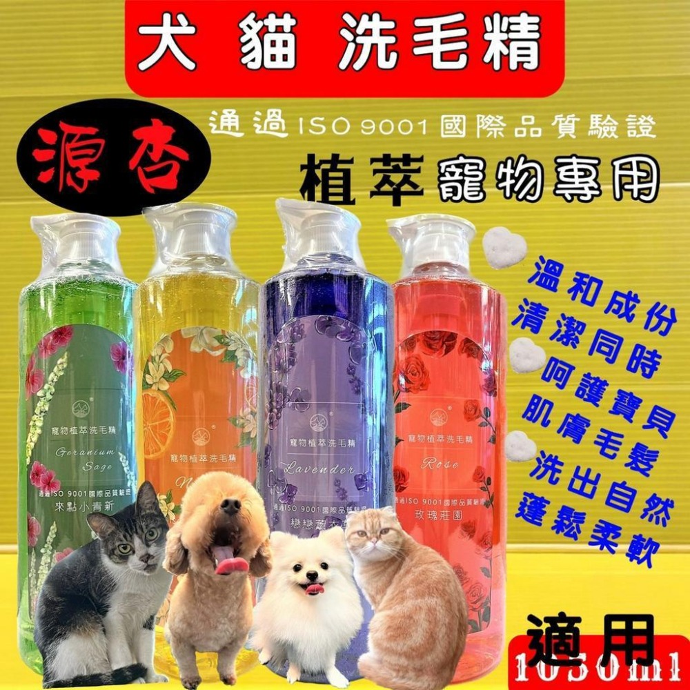 超大瓶 源杏 植萃洗毛精 來點小青新 防蚤蝨系列 1050ml/瓶《犬 貓 狗 專用》 寵物專用 沐浴 乳-細節圖3