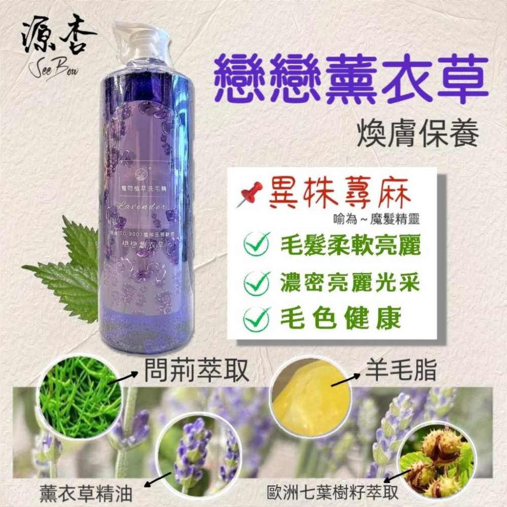 超大瓶 源杏 植萃洗毛精 來點小青新 防蚤蝨系列 1050ml/瓶《犬 貓 狗 專用》 寵物專用 沐浴 乳-細節圖7