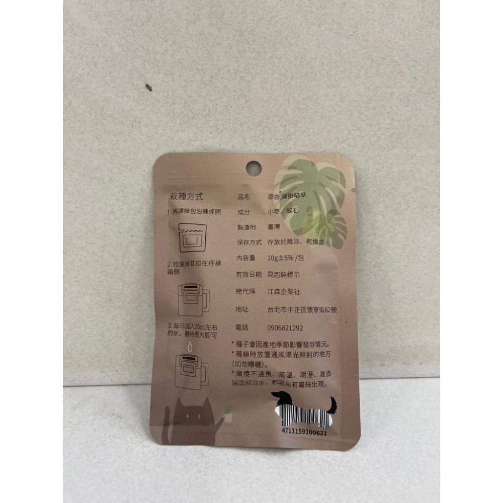 源杏 濾掛式 精心挑選優質種子 喵草 DIY 烏龜 兔草 愛貓嚴選 交換禮物 濾掛喵草 小鳥 貓-細節圖5