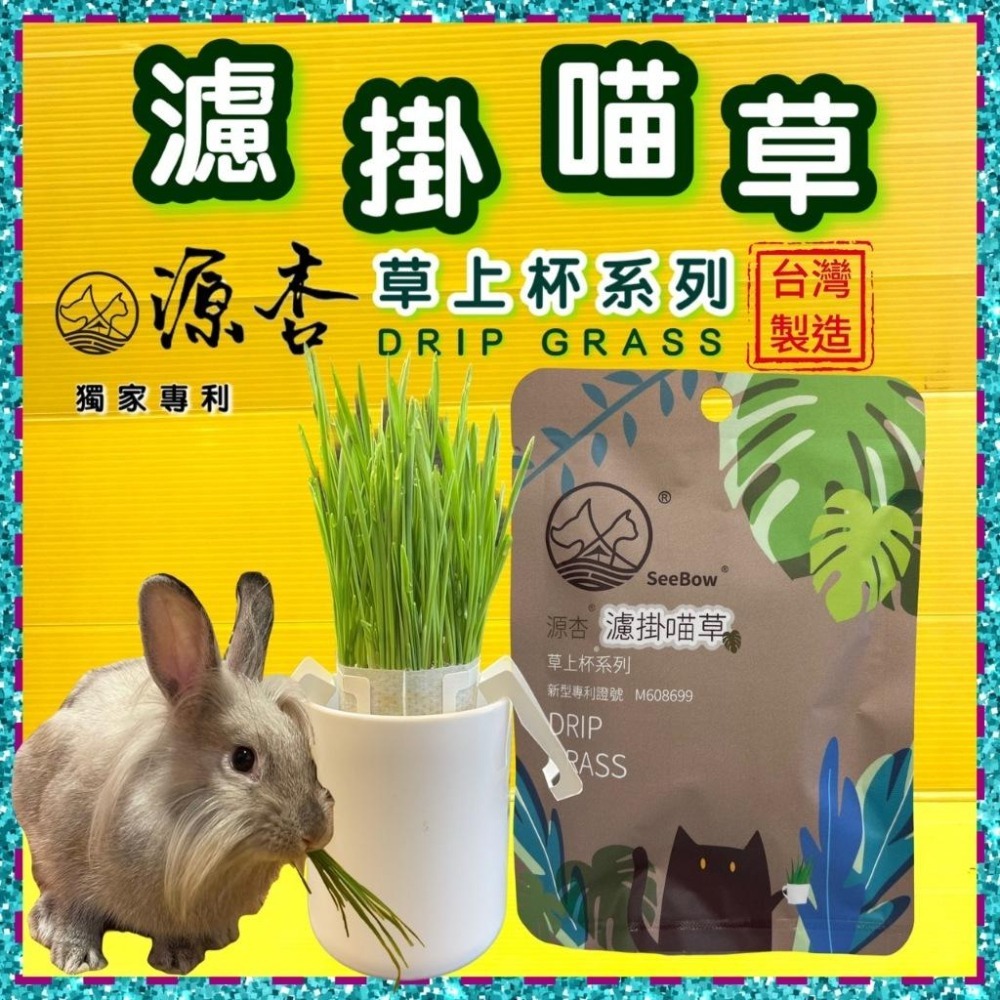 【限時購】源杏 濾掛式 精心挑選優質種子 喵草 DIY 烏龜 兔草 愛貓嚴選 交換禮物 濾掛喵草 小鳥 貓-細節圖2