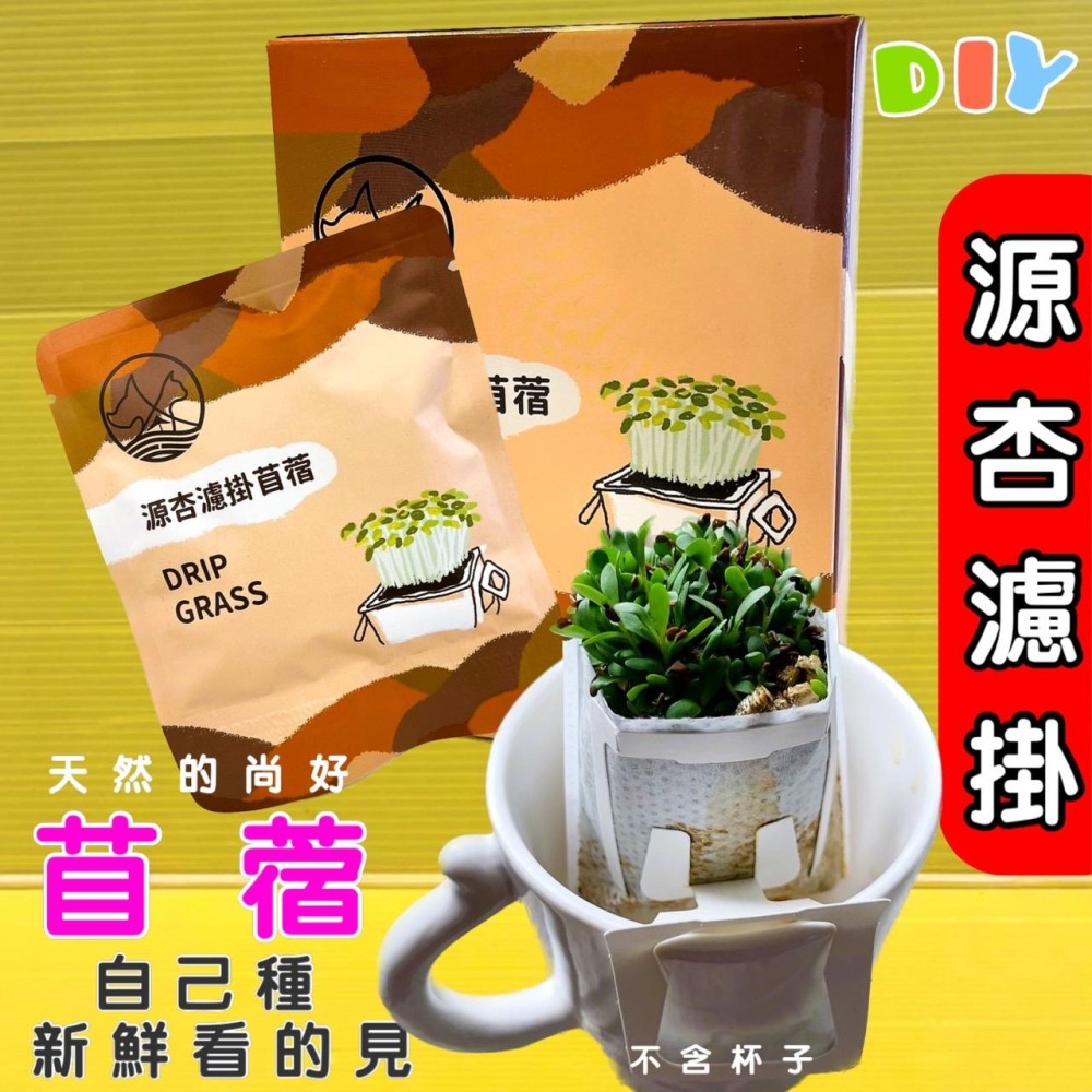 源杏 濾掛式苜蓿  一包裝 精心挑選優質種子 DIY 辦公室 桌面 生態 果蔬 植物 交換禮物 自己種才安心-細節圖2