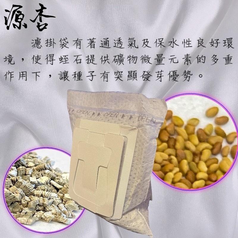 源杏 濾掛式苜蓿  一包裝 精心挑選優質種子 DIY 辦公室 桌面 生態 果蔬 植物 交換禮物 自己種才安心-細節圖4