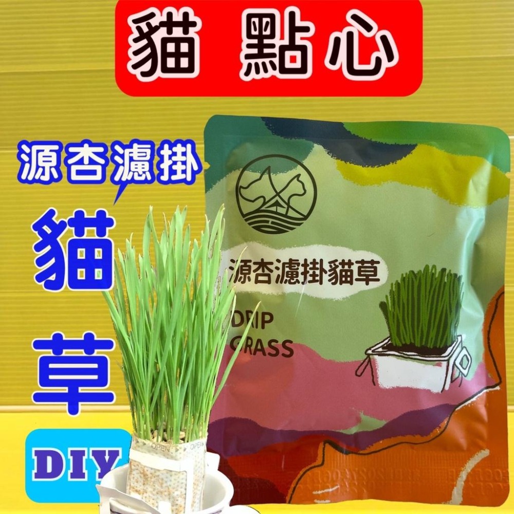 源杏 濾掛式 貓草 精心挑選優質種子 DIY 愛貓嚴選 交換禮物 濾掛貓草 烏龜 兔草 小鳥-細節圖2