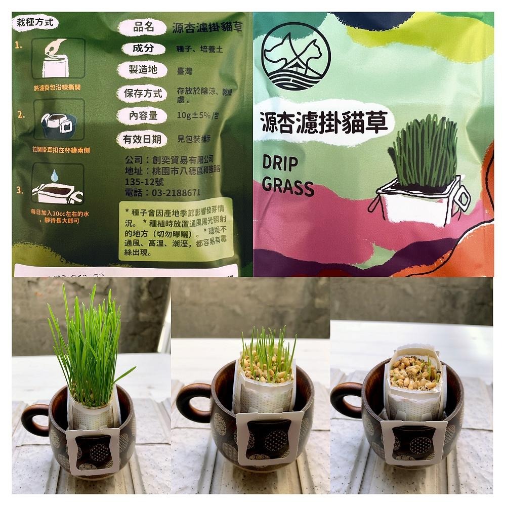 源杏 濾掛式 貓草 精心挑選優質種子 DIY 愛貓嚴選 交換禮物 濾掛貓草 烏龜 兔草 小鳥-細節圖6