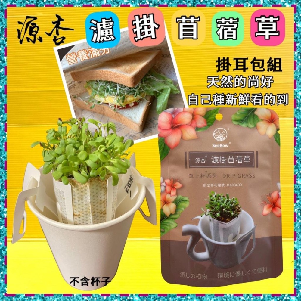 草上杯 源杏 濾掛式苜蓿草 一包裝 精心挑選優質種子 DIY 辦公室 桌面 生態 蔬食 植物 交換禮物-細節圖2