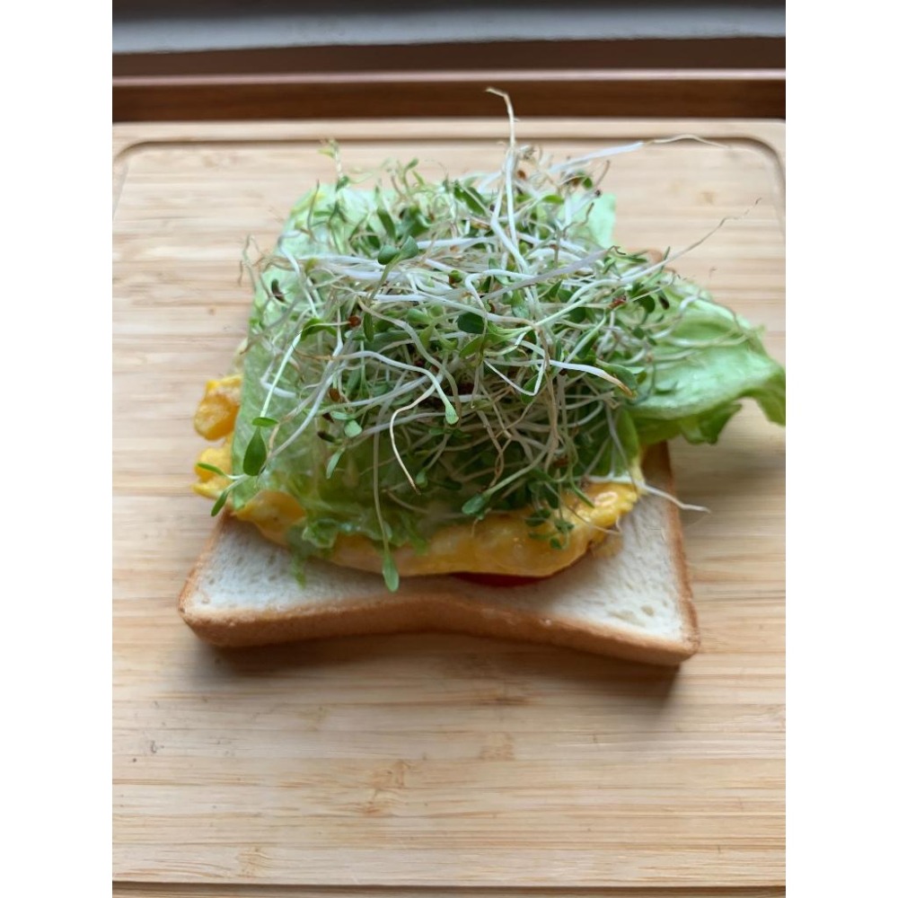 草上杯 源杏 濾掛式苜蓿草 一包裝 精心挑選優質種子 DIY 辦公室 桌面 生態 蔬食 植物 交換禮物-細節圖6