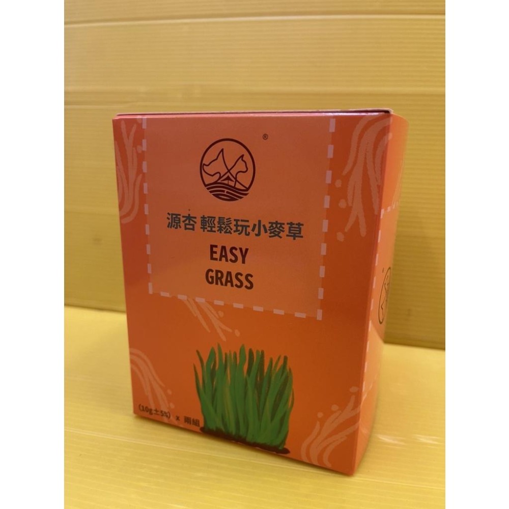 源杏 輕鬆玩 小麥草 一盒2盆入 DIY 草本 優質小 蔬菜麥苗 葉綠素 種植盒 辦公觀賞盆栽 高發芽率-細節圖2